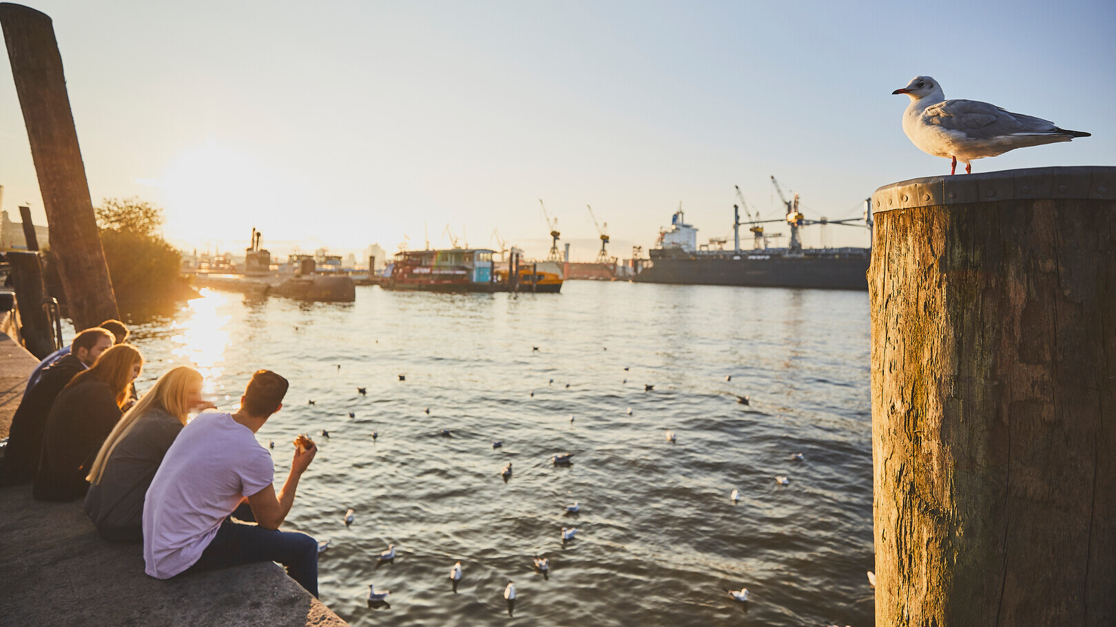 Menschen sitzen am Hafen bei Sonnenuntergang, eine Möwe ruht auf einem Holzpfahl im Vordergrund.