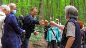 Eine Gruppe von Menschen tauscht sich im Wald bei einer Wanderung aus.